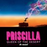 priscilla