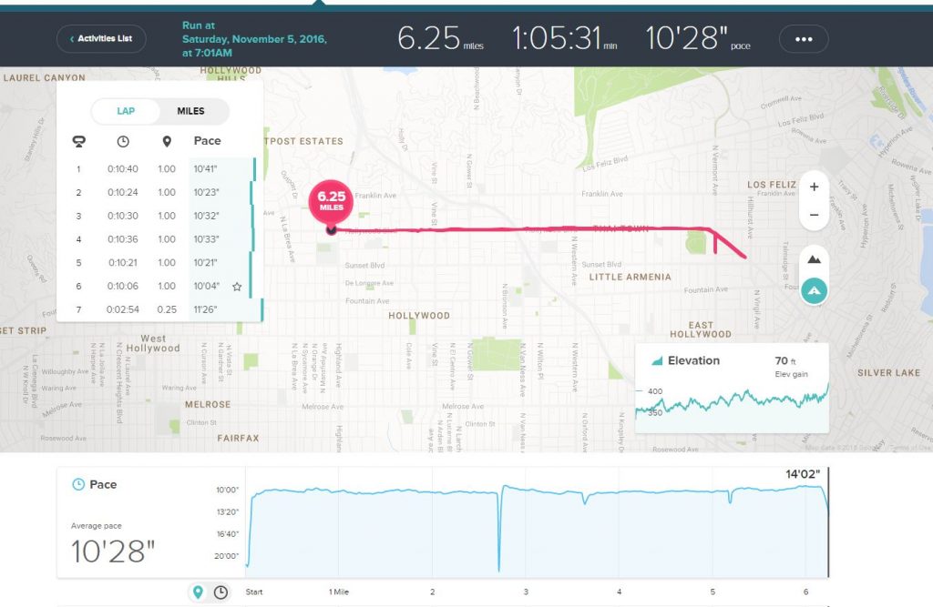 hardrockrun_fitbitstats